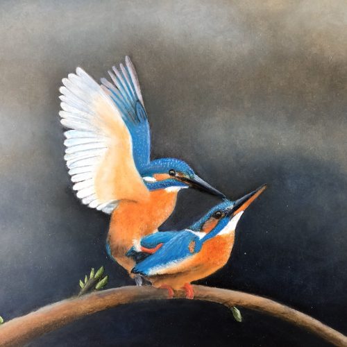 Adrie Spruijt
