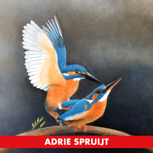 8507-kunstkring_website_carousel_banner61