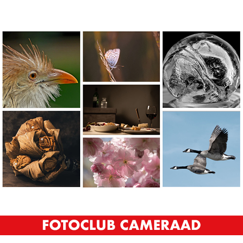 8507-kunstkring_website_carousel_banner68